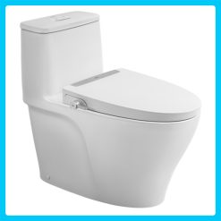 Bồn cầu rửa cơ