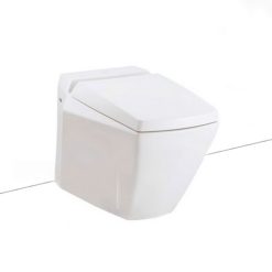 Bồn cầu đặt sàn Toto CW681-TCP06-T53P100VR-TC375CVK