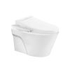 Toto CW812REA-TCF24460AAA-WH172AT-TCA465
