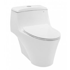 Bồn cầu 1 khối kèm nắp đóng êm TOTO CW823RAT8