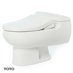 Bồn cầu TOTO MS436BE2 MS436RE2