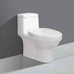 Bồn cầu 1 khối Viglacera BL5V