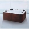 Bồn tắm spa massage Daelim W-2005