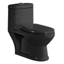 Thiết bị vệ sinh dành cho trẻ mẫu giáo màu đen