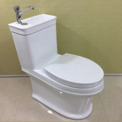 Bồn cầu nghệ thuật kết hợp chậu lavabo rửa mặt HM-0882