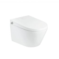 Bồn cầu âm tường MOEN SW1071P0