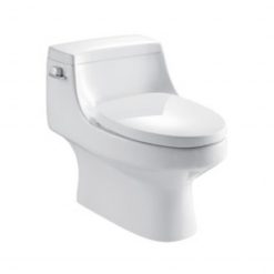 Bồn cầu 1 khối MOEN SW3154C1