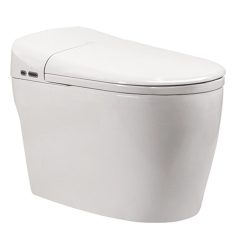 Bồn cầu thông minh SELTA BTM-2012