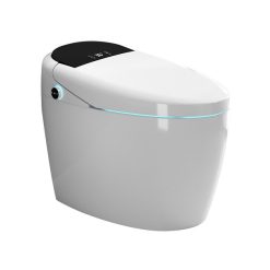 Bồn cầu thông minh SELTA BTM-383/393