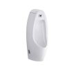 Bồn tiểu nam cảm ứng Cotto C31237DC