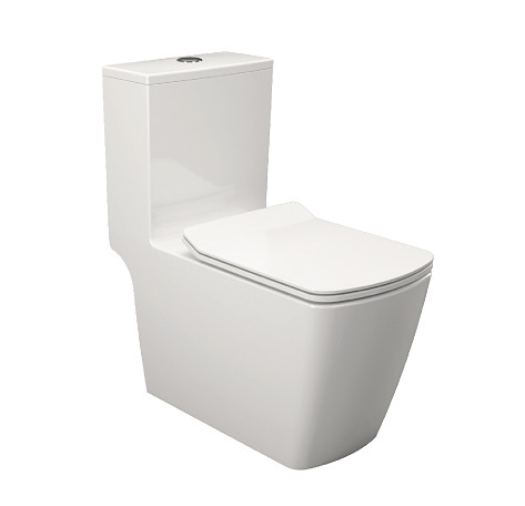 Bồn cầu một khối One Piece Elimen CA10160-300
