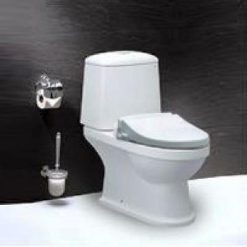 Bồn cầu nắp cơ Caesar CD1530-TAF050