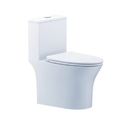 Bàn cầu 1 khối nắp êm Caesar C1391