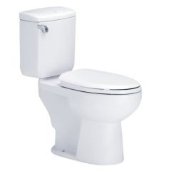 Bồn cầu 2 khối nắp êm Cotto C1302