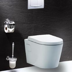 Bồn cầu thoát ngang Caesar CPT1503