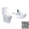 Combo Thiết bị vệ sinh TOTO CS769DRT8-LT367CR