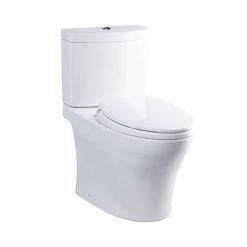 Bồn cầu Toto CS769DRT2