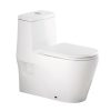 Bồn cầu két liền Clara CTM-101WS