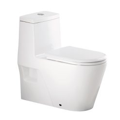 Bồn cầu két liền Clara CTM-101WS