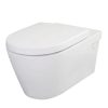 Bồn cầu két âm tường Clara CTM-318WP