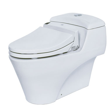 Bồn cầu điện tử TOTO CW823NW/FW4