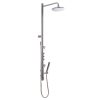 Sen cây tắm massage TOTO DM915CAMF
