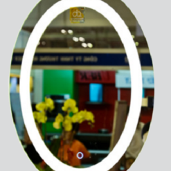 Gương phòng tắm đèn led Đình Quốc DQ 67033