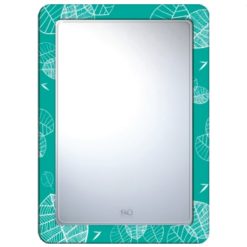 Gương phòng tắm Đình Quốc DQ4884