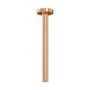 Thanh nối đầu sen màu vàng hồng American Standard FFAS9908WS