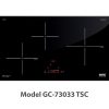 Bếp từ Giovani GC-73033 TSC
