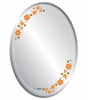 Gương phòng tắm Hobig tráng bạc HB1-904