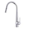 Vòi rửa bát dây rút Hafele HT21-CH1P245