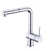 Vòi rửa bát dây rút Hafele HT21-CH1P254