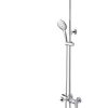 Sen cây tắm Duravit HD 9805