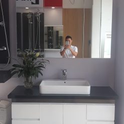 Bộ tủ chậu nhựa Picomat cao cấp theo yêu cầu HM74