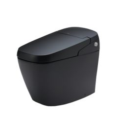 Bồn cầu nắp rửa điện tử Inax AC-G216VN/BKG