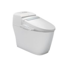 Bồn cầu nắp điện tử INAX AC-1032-CW-H20VN