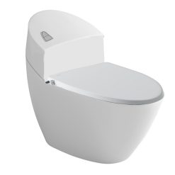 Bồn cầu Inax AC-2700+CW-S15VN/BW1