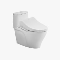 Bồn cầu nắp rửa điện tử Inax AC-989-CW-H17VN