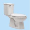 Bồn cầu Thiên Thanh Kali B2106TGTT