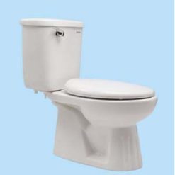 Bồn cầu Thiên Thanh Kali B2106TGTT