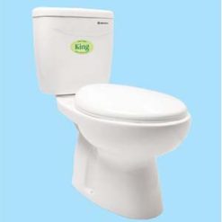 Bồn cầu Thiên Thanh King B4829TS2T