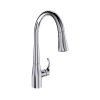 Vòi rửa bát dây rút Kohler K-597T-B4-CP