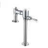 Van xả gạt tay cho bồn cầu, xí xổm Miken LFV1402SH