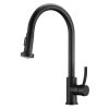 Vòi rửa bát mạ đen MN-603D