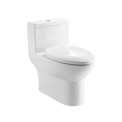 Bồn cầu 1 khối Fascination Moen SW3093C1