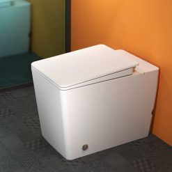 Bồn cầu không két nước Moonoah MN-1599