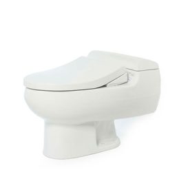 Bồn cầu nắp rửa cơ TOTO MS436BE4