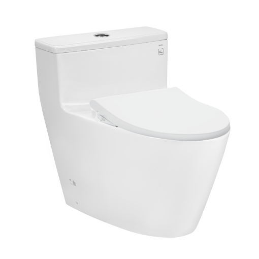 Bồn cầu 1 khối kết hợp nắp rửa cơ Toto MS625DE4