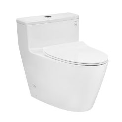 Bồn cầu 1 khối kết hợp nắp đóng êm Toto MS625DT8